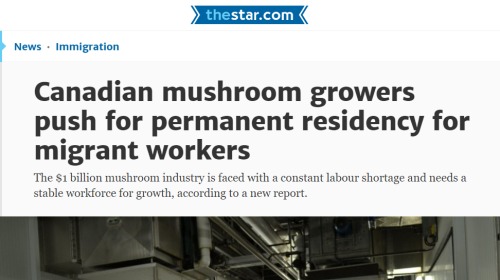 能採蘑菇就能移民？加拿大對移民顯誠意
