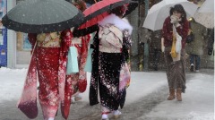日本女生从不穿秋裤真相是这样的(图)