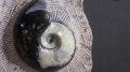 必备知识这4张图里有中国文化玄机(图)