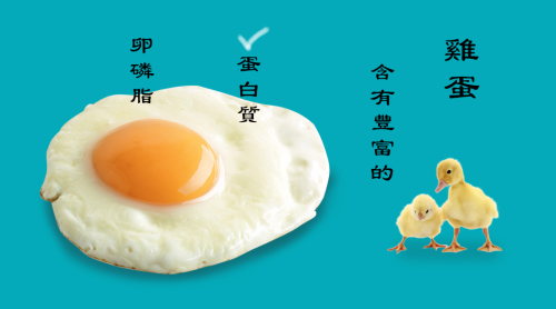 雞蛋富含蛋白質和卵磷脂。