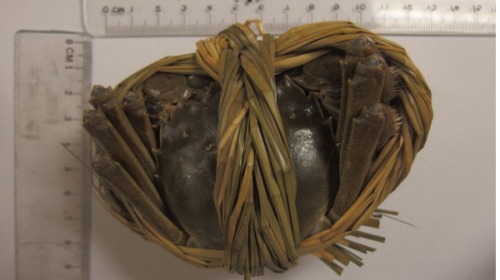 2批來自中國大陸的大閘蟹，被驗出含戴奧辛過量。