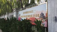 專家：輸出「中國模式」有點難(圖)
