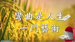 彎曲是人生一門藝術(視頻)