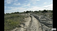 千萬年前就有汽車的驚人發現(組圖)