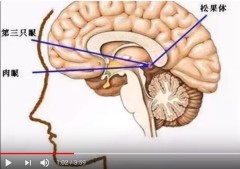 人類有第三隻眼修煉界所說的天目