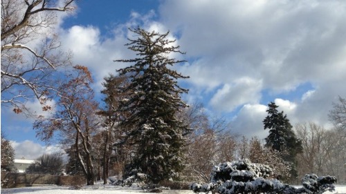 紐約上州的白雲與冬雪。（攝影：貫明/看中國）