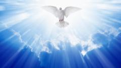 救命之光光芒拯救儿童的例子(图)