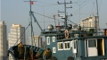 5艘船换船籍供朝鲜油料实际法人均为中国人(图)