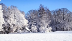 〔柳梢青〕节气——大雪(组图)