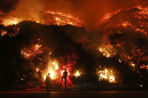 狂風肆虐南加州野火延燒威脅洛杉磯市組圖/視頻