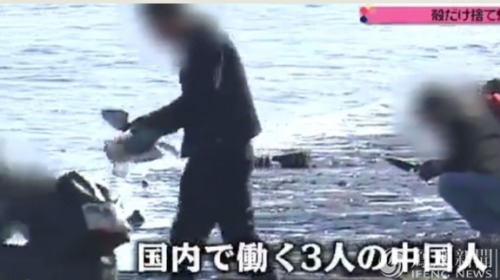 中国游客在日本挖蚝留上百吨蚝壳成安全隐患