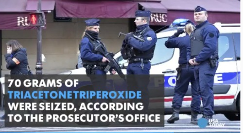 涉嫌制造炸弹三男一少女被法国警方逮捕