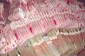 中共贪官藏钱花招百出粪坑鱼肚炮弹(组图)