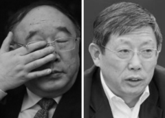 塵埃落定黃奇帆楊雄轉任人大財經委副主委(圖)