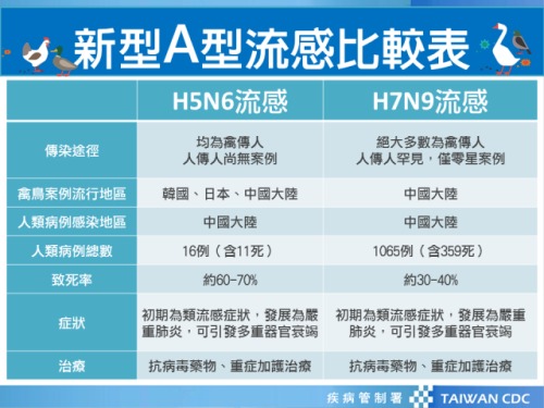 台湾首现H5N6病毒全球仅一国“禽传人”