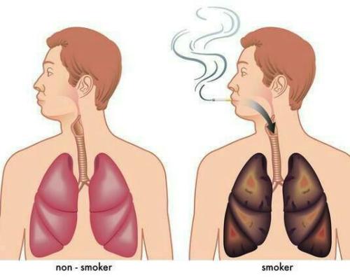 经常抽烟的男人，这三样一起煮，清肺毒素