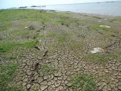 建坝鄱阳湖悬了(组图)