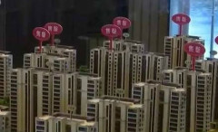 【观点】“抢房大战”后中国人还会抢什么(图)