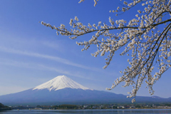 在该国为什么鲜有造假因为后果比“死”还惨(组图)