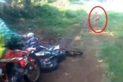 印尼森林惊现神秘矮人似人但跑得奇快(图)