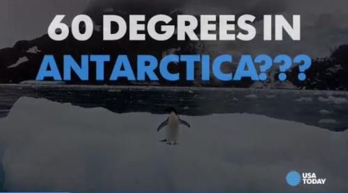 南極洲錄得高溫創歷史新記錄