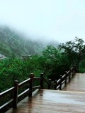 【天雪】憑闌人･耕春(圖)