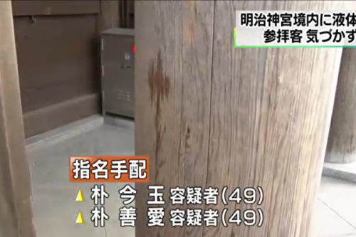 两中国女连环破坏日本文物 日警发布通缉令