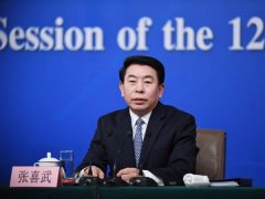 能源系現大老虎中共國資委副主任疑被查(圖)