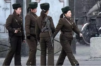朝鮮政府認為，只要控制好軍隊，便能維持政權穩定。