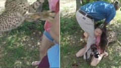 中国女游客在南非遭猎豹背后袭击跪地哭喊(图)