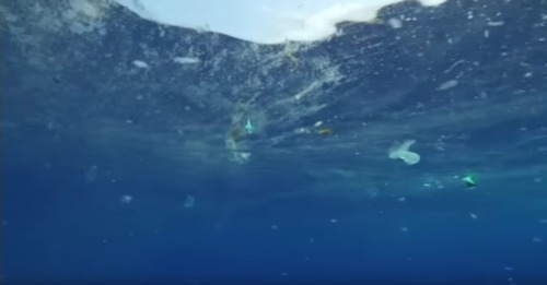 遭受塑料污染的海洋