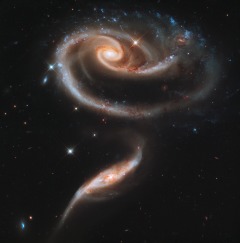 哥大科學家:外星生命隱藏在暗物質中(圖)