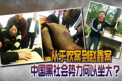 美媒：於歡案趙鑫案背後的官與黑誰更黑(圖)