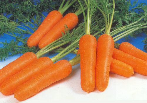 胡萝卜是补血和改善肾虚的上好食物。
