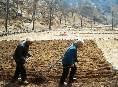共產天堂？70年代湖南農民還不如封建社會幸福