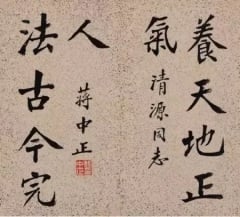 书法中的蒋介石(组图)