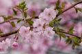 慕容雪村：互联网让中国人清醒起来(图)