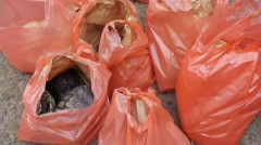 中国新移民饮食习惯令西人瞠目结舌(图)