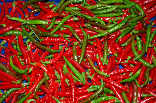 吃辣椒好處多七種人不能吃！