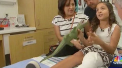 美国10岁女孩鳄口逃生全靠这一招(组图)