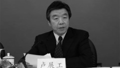 傳千億富豪黃如論供出盧展工邊養病邊受查(圖)