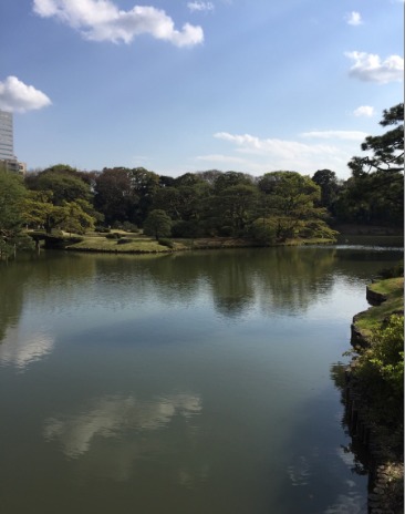 宁静古朴的日本庭园