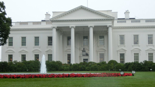 美白宫电影室开放历任总统喜好是？