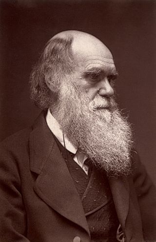 最早怀疑进化论的人是达尔文自己