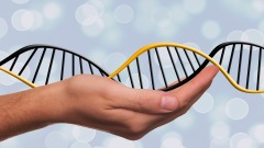 世界最大DNA資料庫中國又一情報工程曝光(圖)