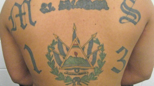 MS-13黑帮成员纹身