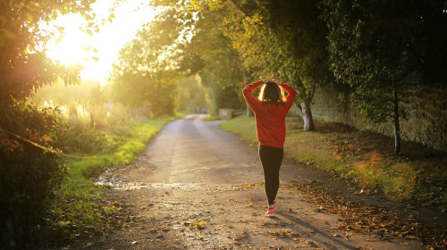 坚持走路锻练，就能获得健康、美丽和内心的充实快乐。
