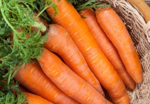 胡萝卜是蔬果中的红钻，对人体大有益处。
