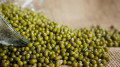 食物中的“补药”夏季常吃不生病(图)