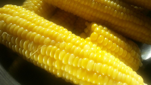 玉米富含纤维质。